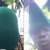 Self-Proclaimed Armed Robber Warns Police and Soldiers: “Don’t Try to Arrest Me If You’re Not Spiritually Fortified”