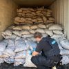Law enforcement officer inspecting seized narcotics linked to international drug trafficking routes involving Ghana.