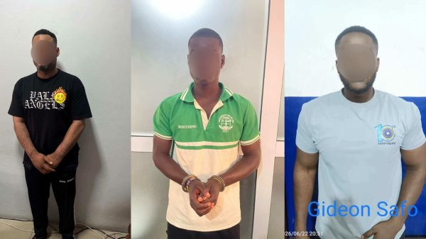 Adwoa Safo Shooting: Brother Israel Kwadwo Safo, Two Others Arrested As Police Recover Guns, Ammunition