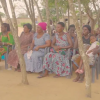 Dove's Unusual Taboos: The Volta Community Where Childbirth, Burials and Animal Rearing Are Forbidden