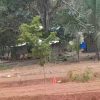 Road construction at Asempaneye Junction near Mankessim with a deity's location cordoned off as work stalls over a relocation dispute.
