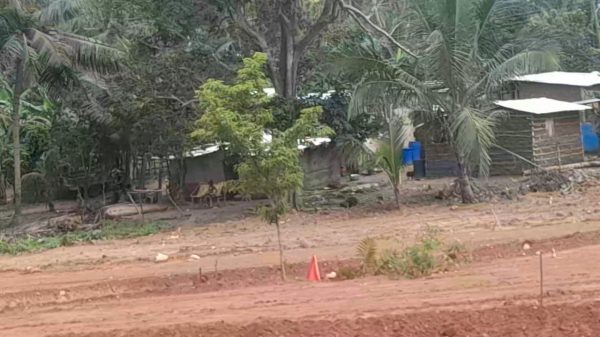 Road construction at Asempaneye Junction near Mankessim with a deity's location cordoned off as work stalls over a relocation dispute.