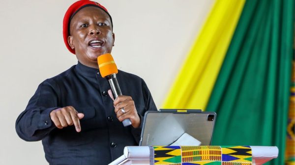 File photo: EFF leader Julius Malema