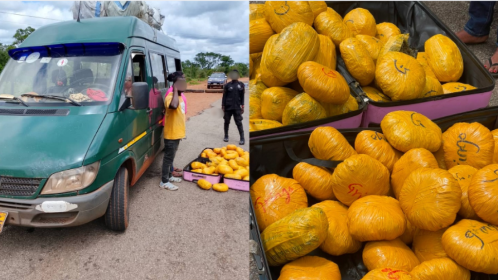 Police officers display bags containing 73 parcels of suspected cannabis seized during a highway operation in the Savannah Region.